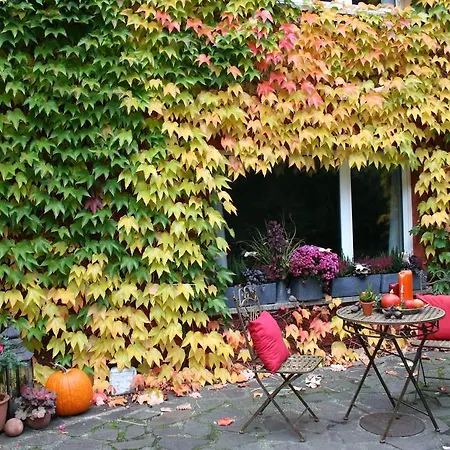 Linderhof Берлин