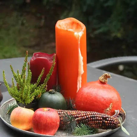 Lägenhet Linderhof Berlin