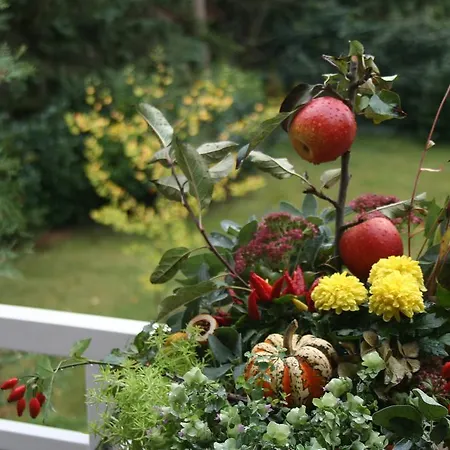 Linderhof Апартаменты Берлин