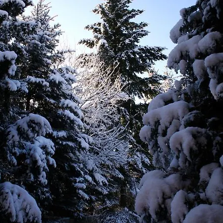 Linderhof Lägenhet *