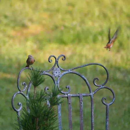 Linderhof Apartment *