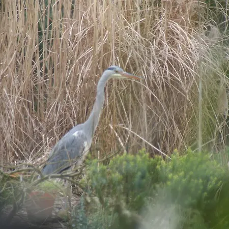 Linderhof Lägenhet Berlin