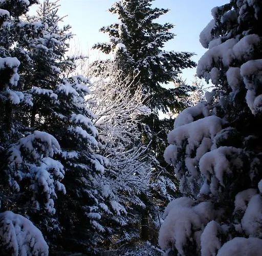 Linderhof דירה *