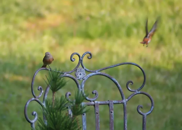 Linderhof דירה *