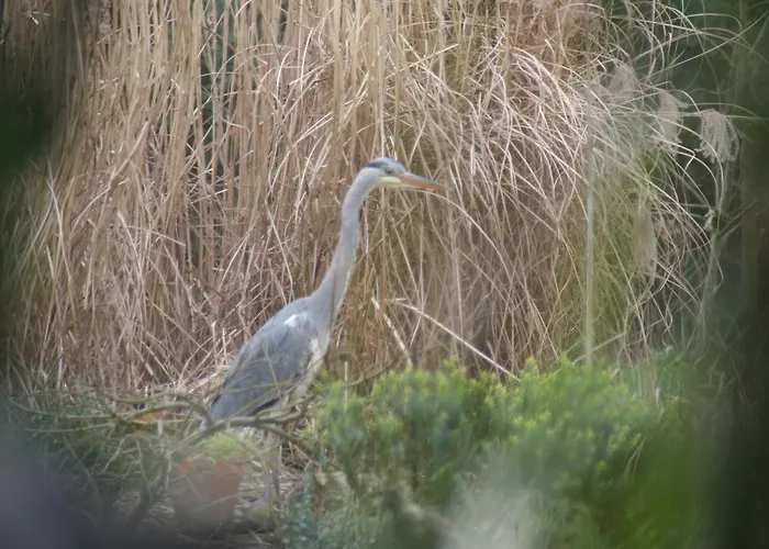 Linderhof דירה ברלין